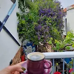 Hotel Olea Sigacik & Bistro *