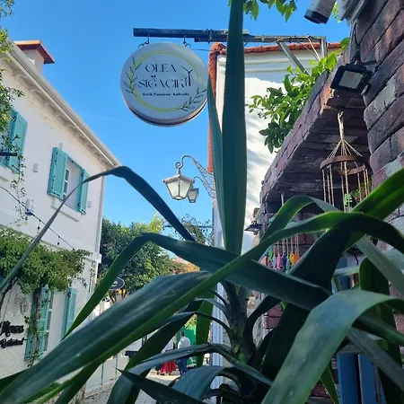 Olea Sigacik & Bistro Отель Сеферихисар