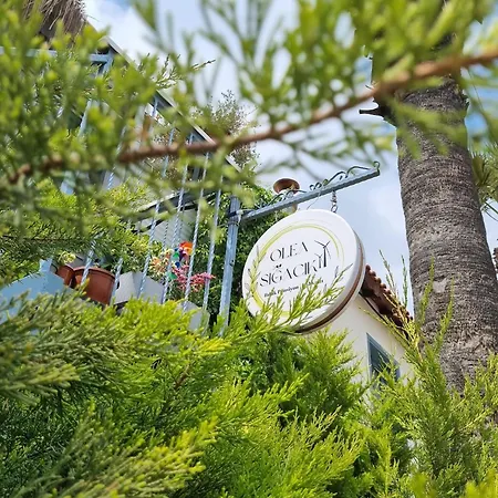 Olea Sigacik & Bistro Отель *