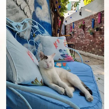 Hotel Olea Sigacik & Bistro *