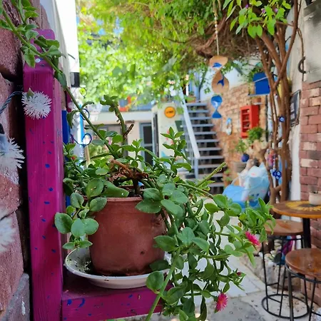 Olea Sigacik & Bistro Ξενοδοχείο Seferihisar