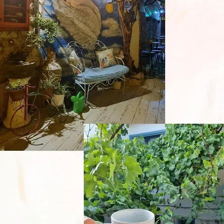 Olea Sigacik & Bistro فندق *